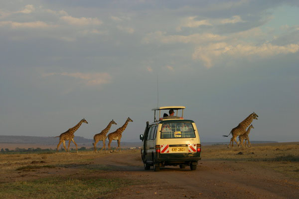 African Horizons Travel & Safari