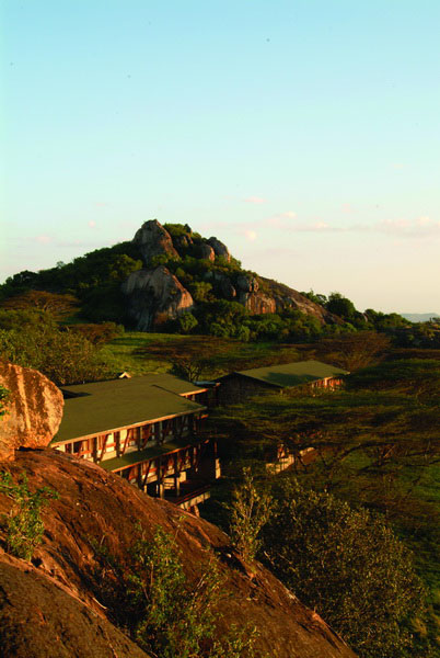 Tanzania Safari