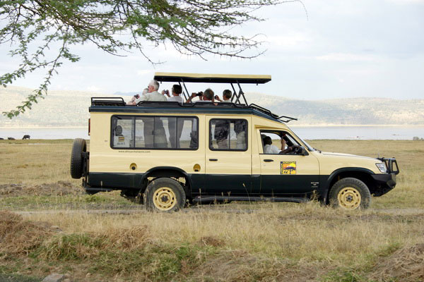 safari cruiser 4x4